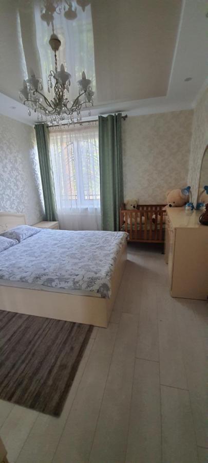 Дрогобицька 10В Апартаменти Truskavets Ngoại thất bức ảnh